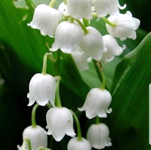 Meet your Posher, Greta